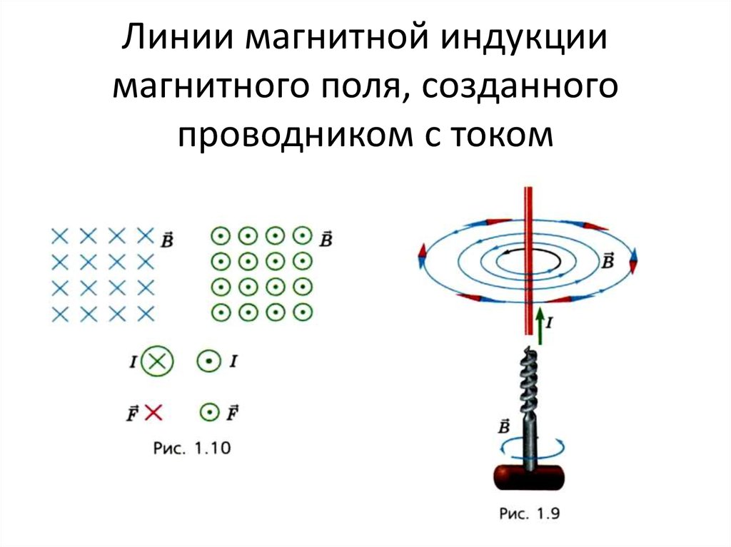 § 37. индукция магнитного поля
