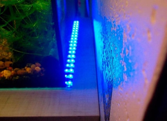 Правильная установка светодиодного освещения для акварима