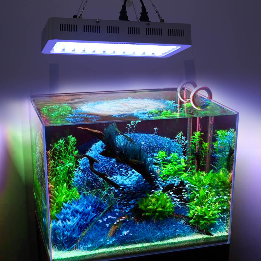Светодиодное освещение для аквариумных  растений: светодиоды и светодиодные массивы