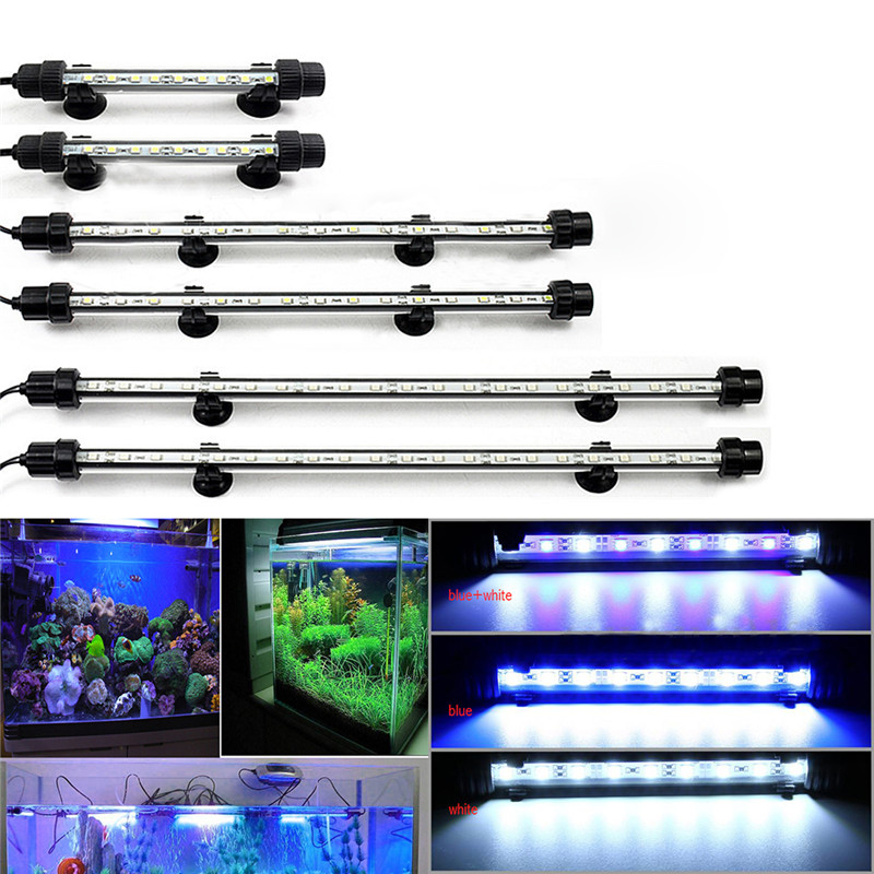 Светодиодное освещение для аквариумных  растений: светодиоды и светодиодные массивы