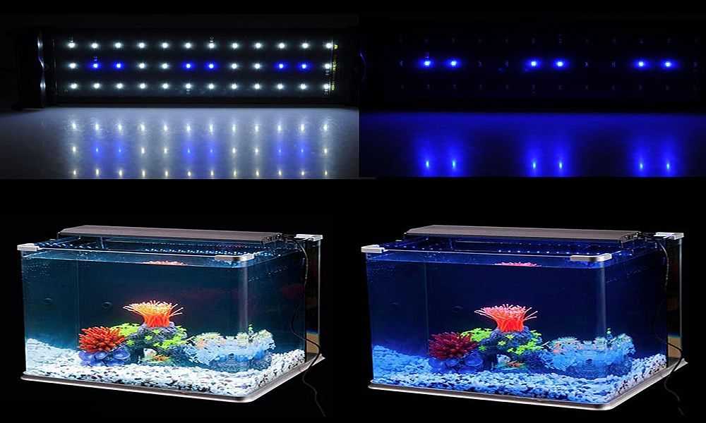 Как рассчитать освещение в аквариуме
