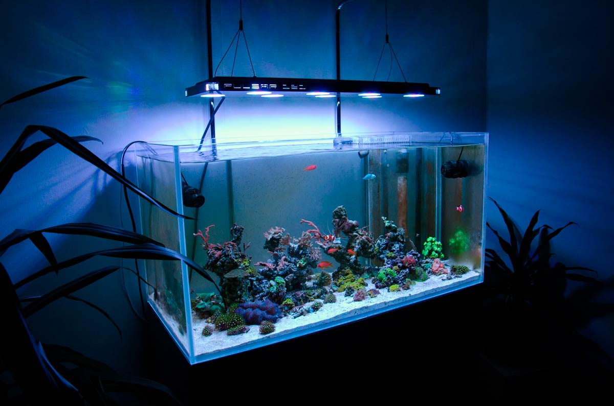 Светодиодное освещение аквариума.